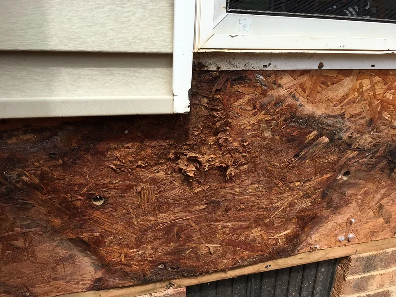 How to Fix Moisture Damage Behind Your Siding in Camden, NJ 1 Repairing rot and moisture damage behind siding on a Camden, NJ home